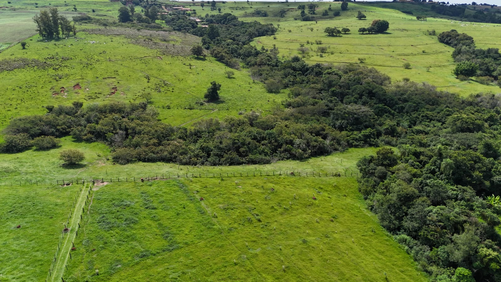 Rural com 3 Quartos à Venda, 220.000,00 m² - Foto 2