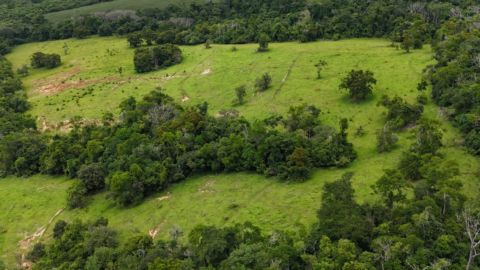 Rural com 3 Quartos à Venda, 160.000,00 m² - Foto 8