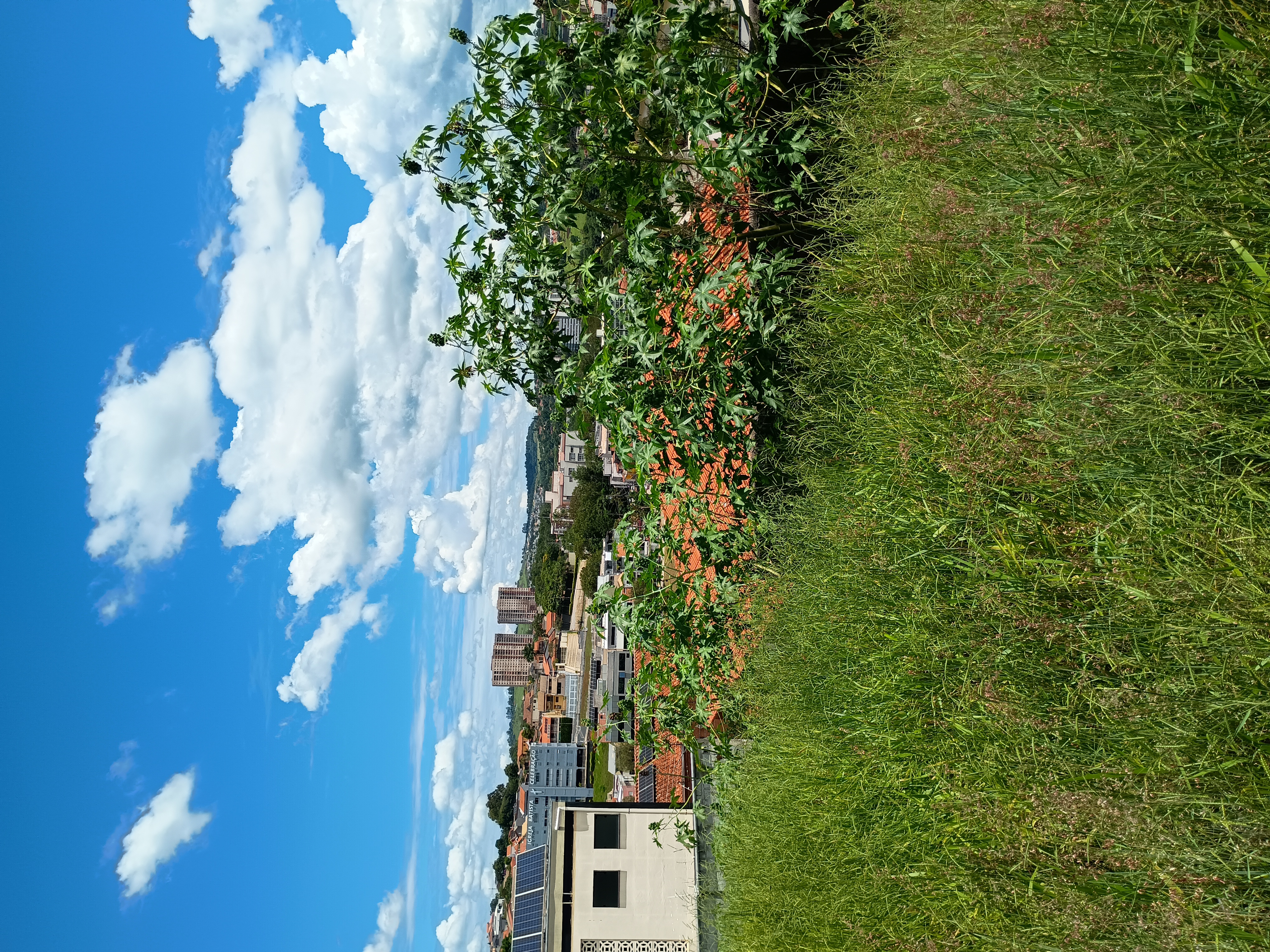 Terreno à Venda - Foto 4