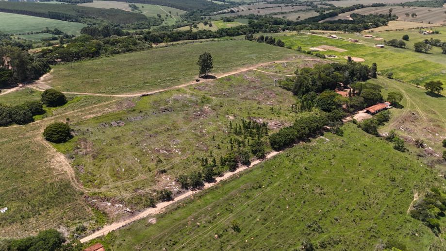 Rural com 4 Quartos à Venda, 242.000,00 m² - Foto 10