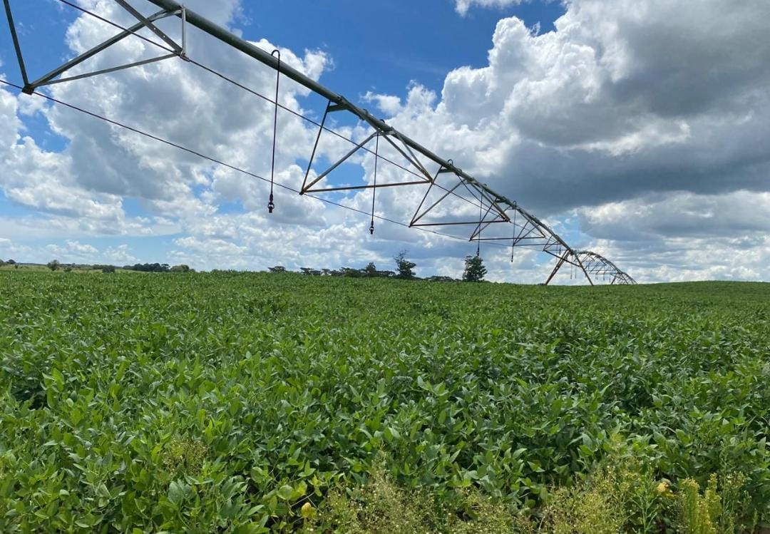 Rural com 4 Quartos à Venda, 240,00 m² - Foto 2