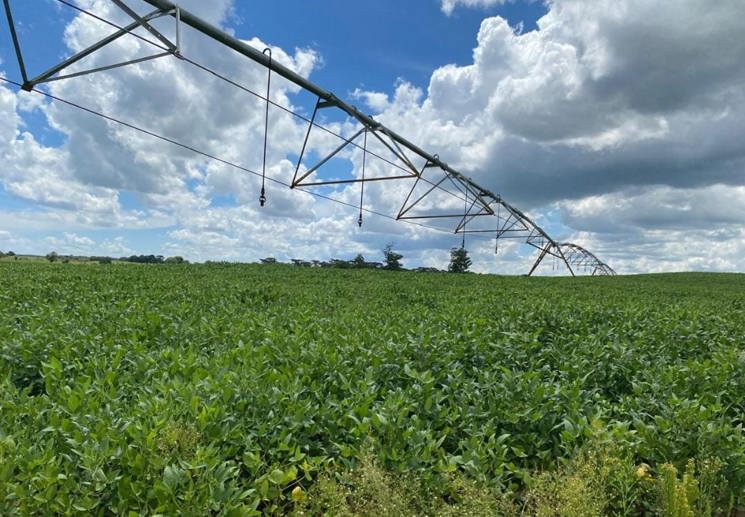 Rural com 4 Quartos à Venda, 240,00 m² - Foto 2