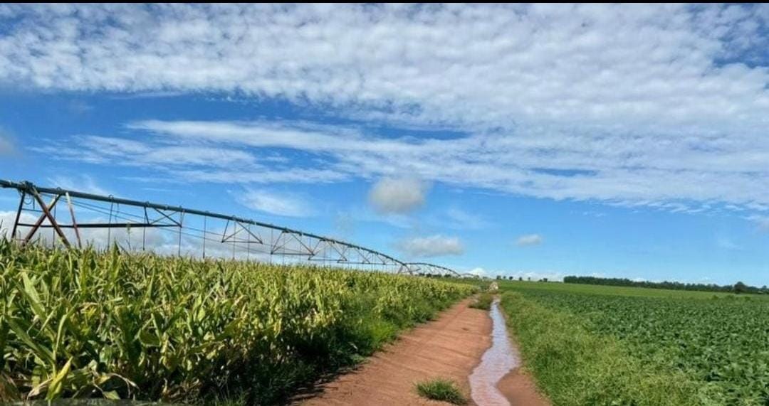 Rural com 4 Quartos à Venda, 240,00 m² - Foto 4