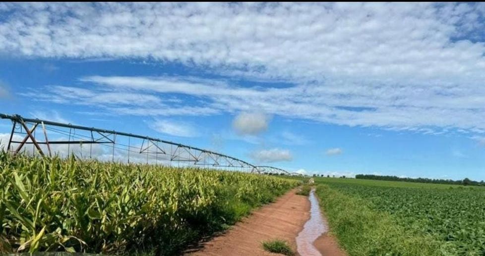 Rural com 4 Quartos à Venda, 240,00 m² - Foto 4