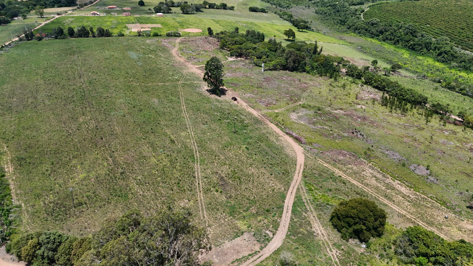 Rural com 4 Quartos à Venda, 242.000,00 m² - Foto 11