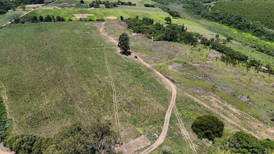 Rural com 4 Quartos à Venda, 242.000,00 m² - Foto 11