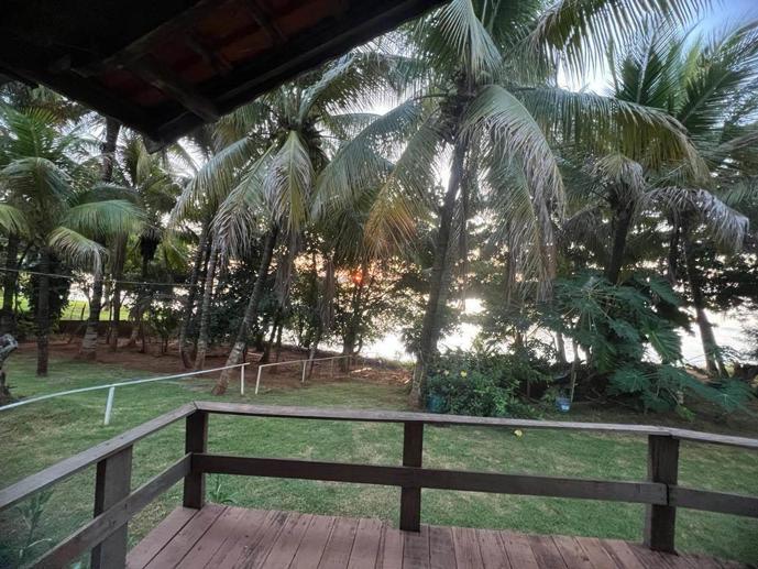 Casa com 3 Quartos à Venda - Foto 3