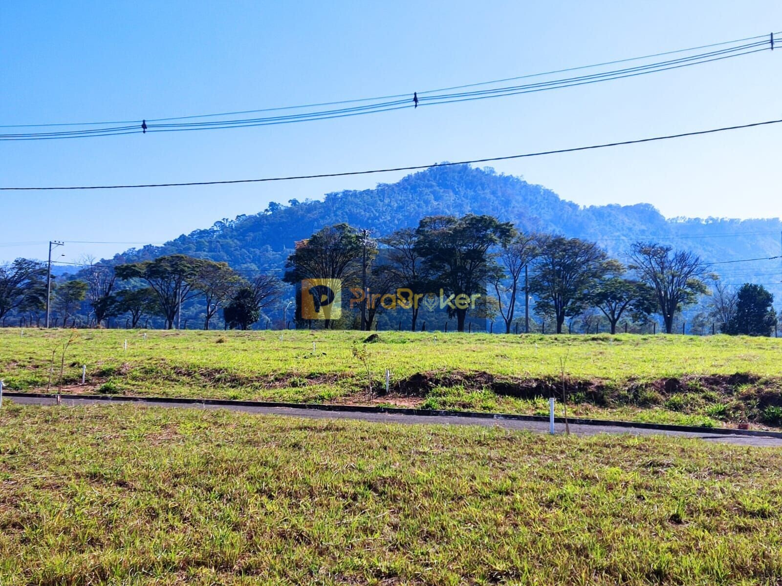 Terreno à Venda, 300,00 m² - Foto 3