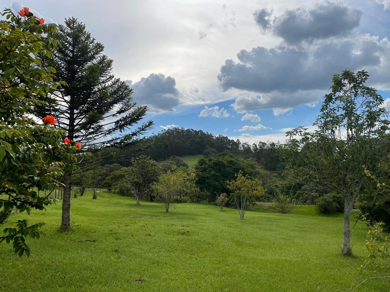 Rural com 6 Quartos à Venda, 502.000,00 m² - Foto 21