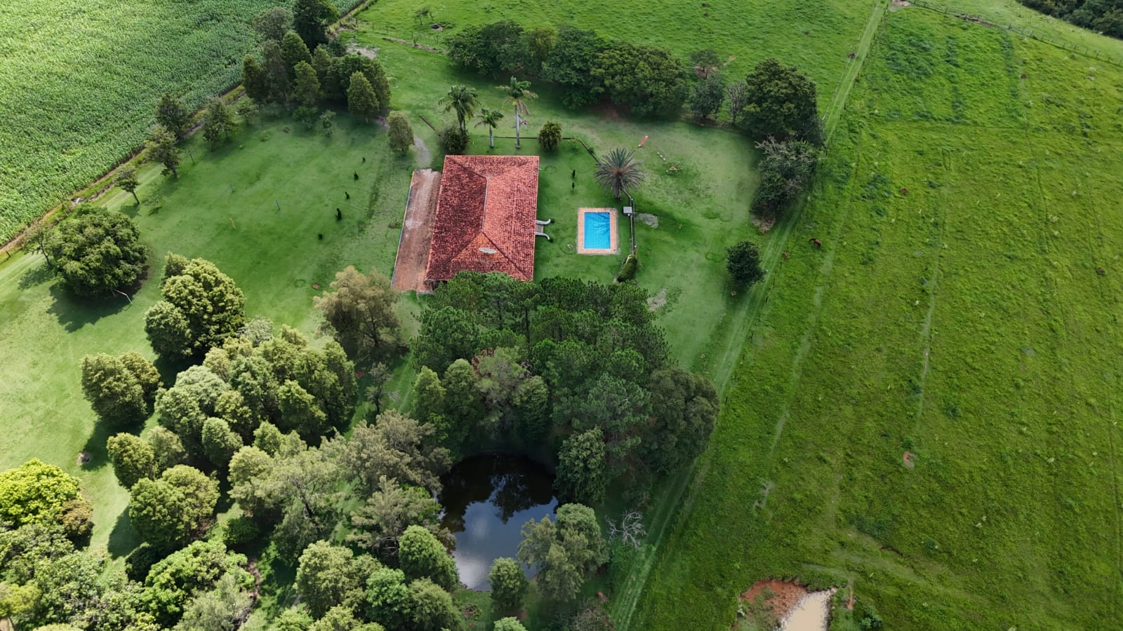 Rural com 3 Quartos à Venda, 220.000,00 m² - Foto 21