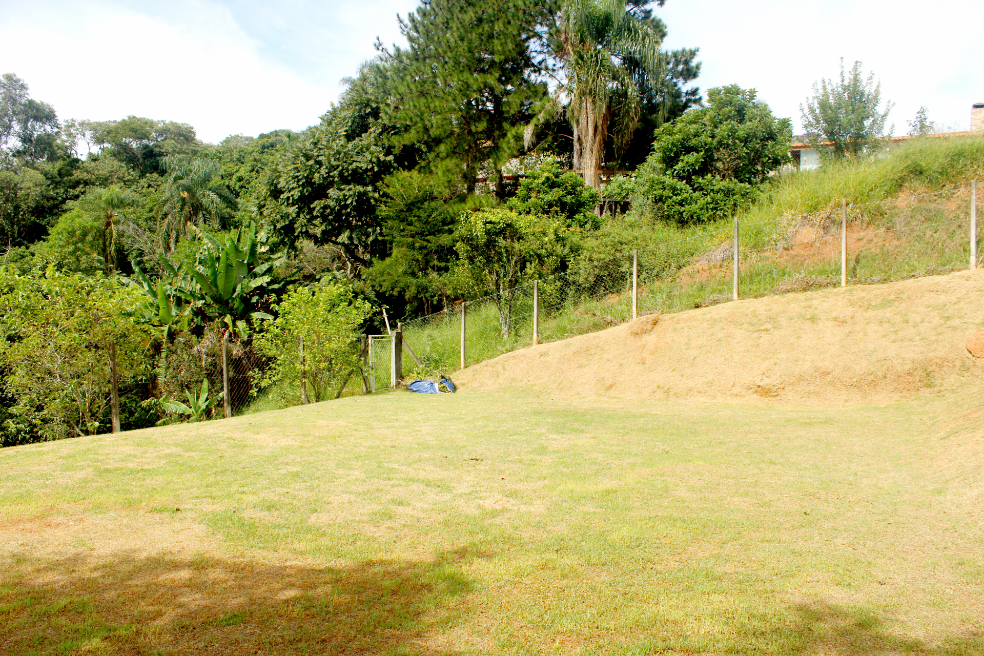 Rural com 4 Quartos à Venda, 3.000,00 m² - Foto 62