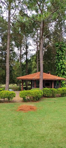 Rural com 3 Quartos à Venda, 220.000,00 m² - Foto 5