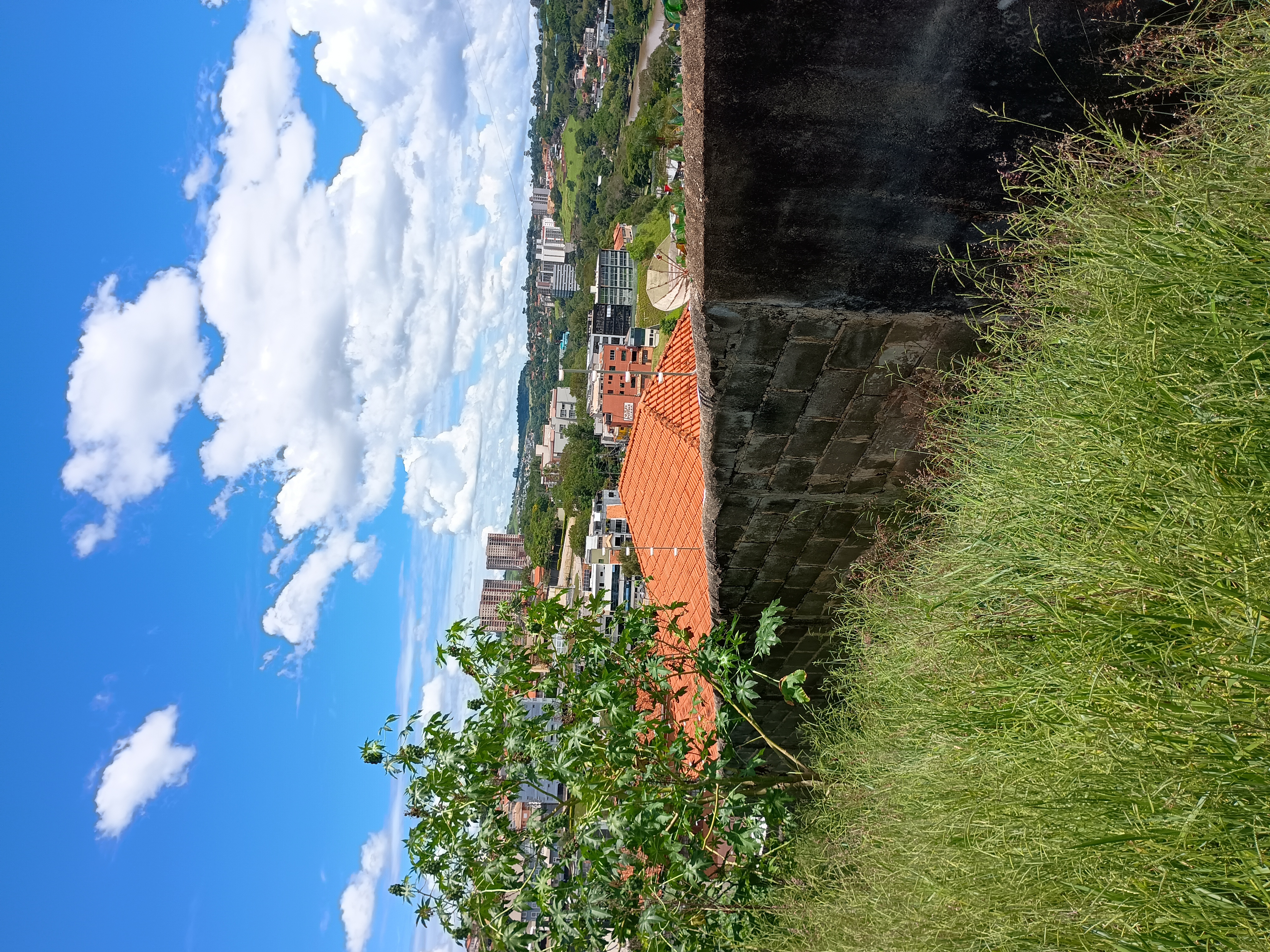 Terreno à Venda - Foto 3