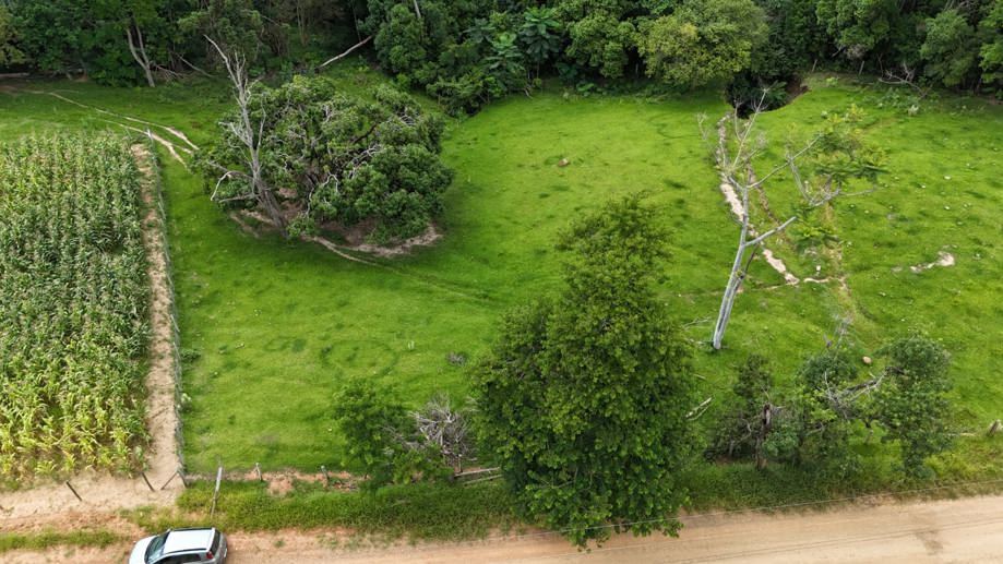 Rural com 3 Quartos à Venda, 160.000,00 m² - Foto 6