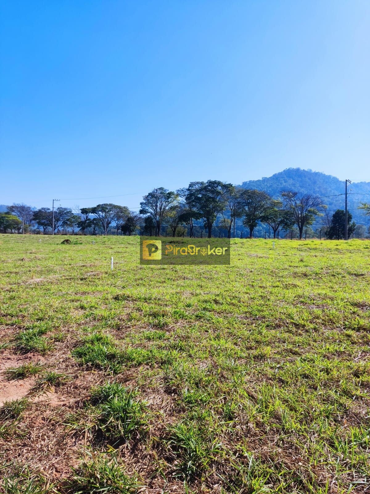 Terreno à Venda, 300,00 m² - Foto 14