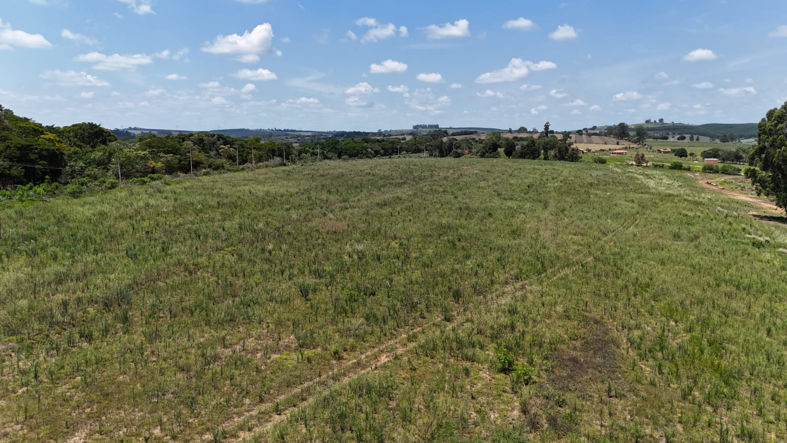 Rural com 4 Quartos à Venda, 242.000,00 m² - Foto 6