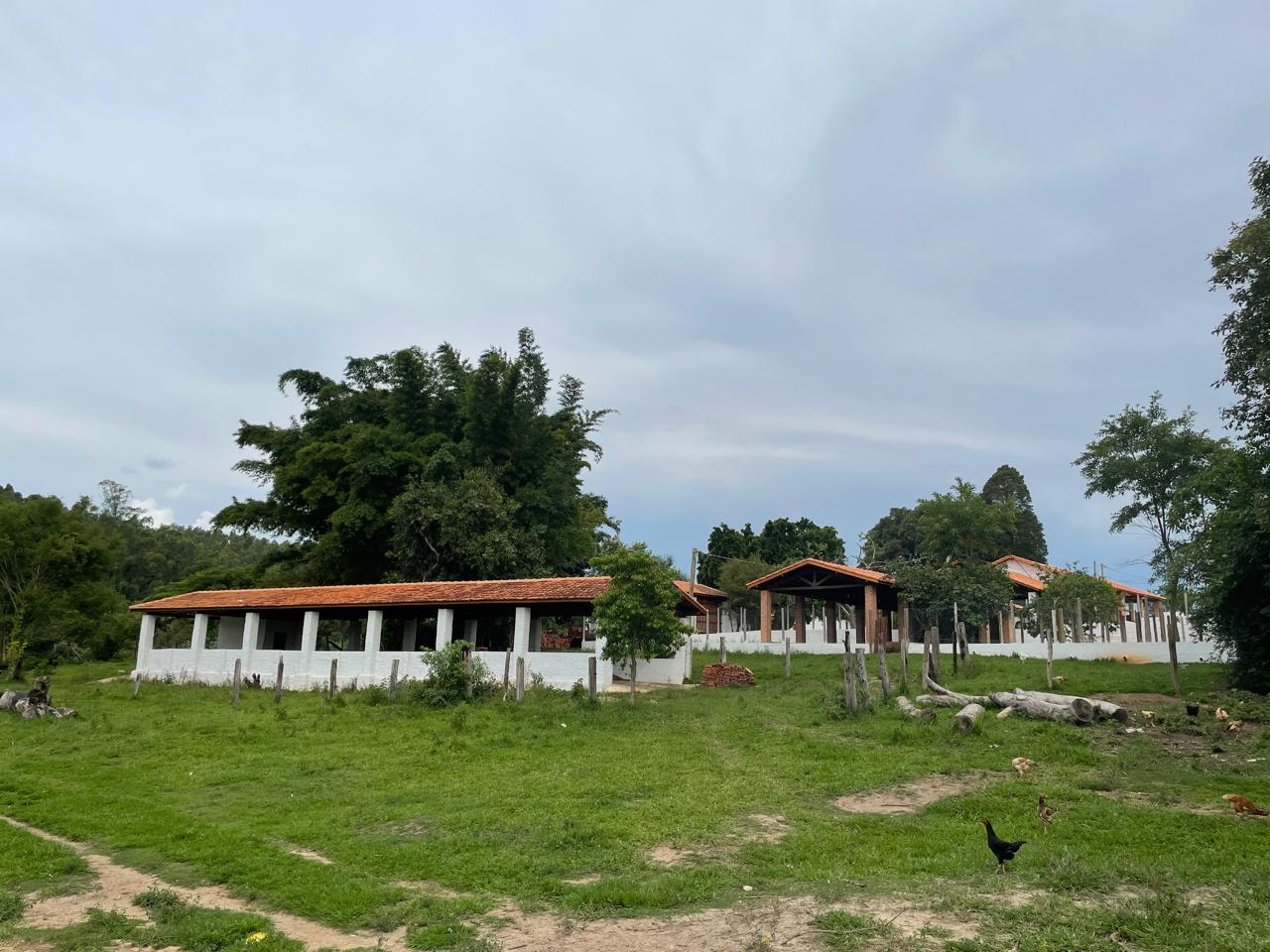 Rural com 6 Quartos à Venda, 502.000,00 m² - Foto 9