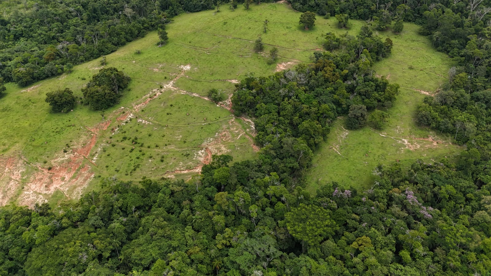 Rural com 3 Quartos à Venda, 160.000,00 m² - Foto 15