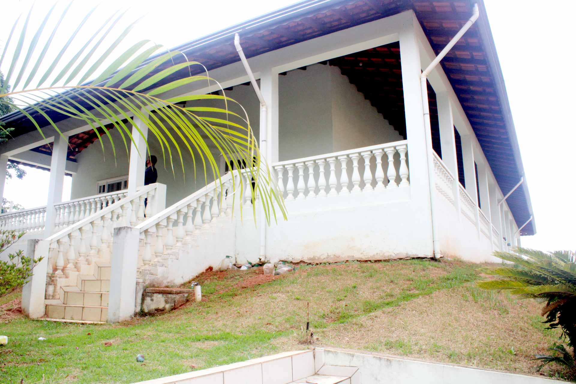 Rural com 4 Quartos à Venda, 3.000,00 m² - Foto 4