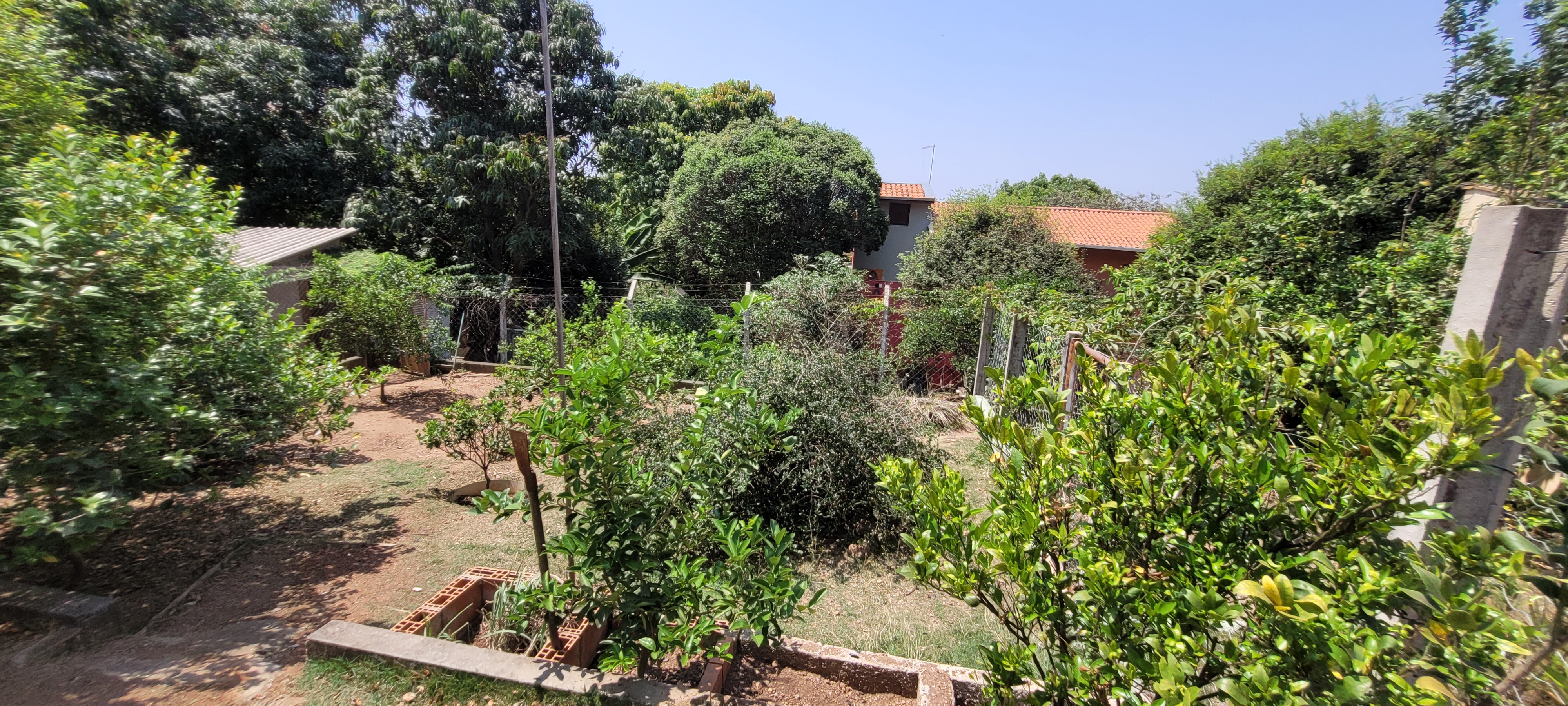 Rural com 2 Quartos à Venda, 247,64 m² - Foto 19