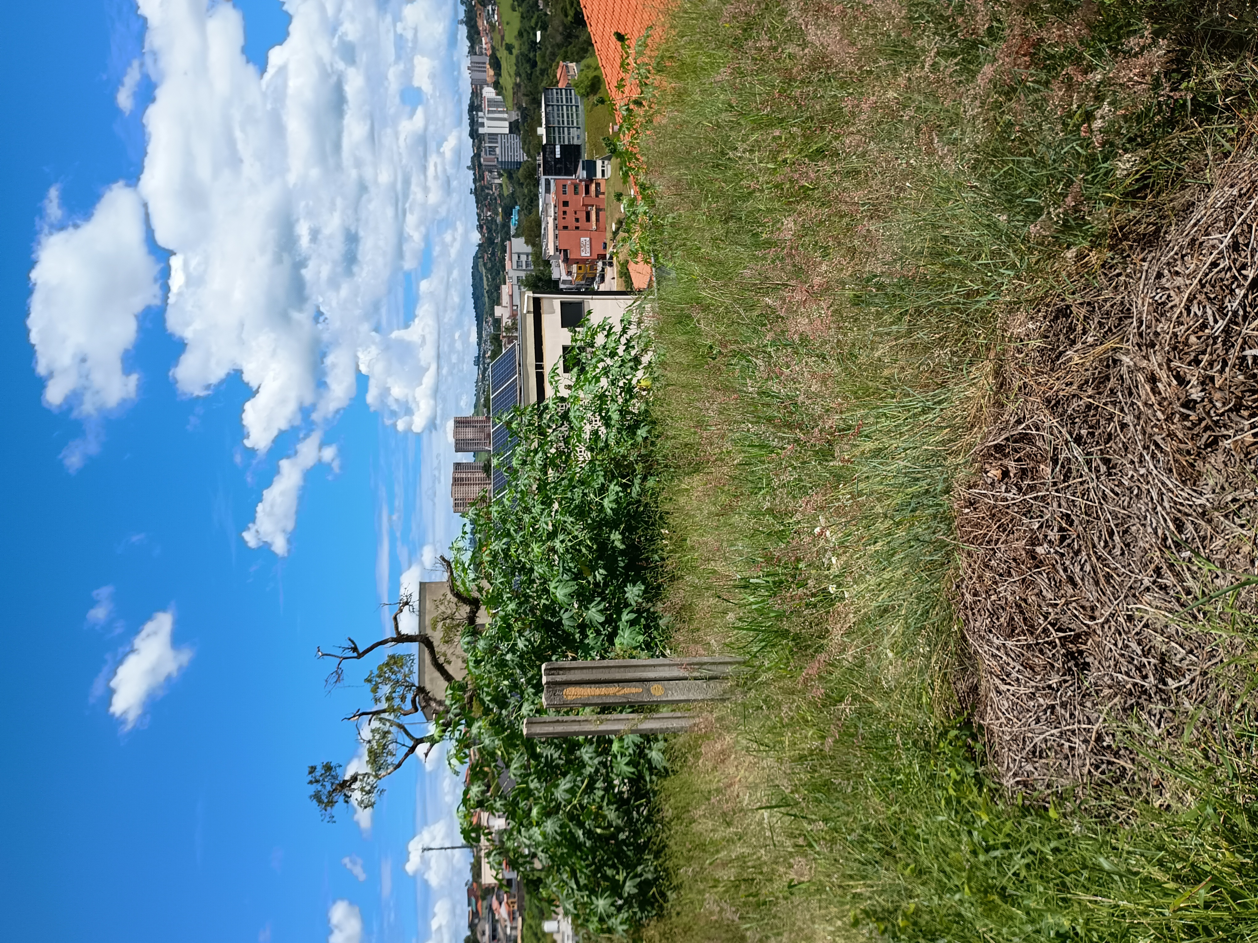 Terreno à Venda - Foto 1