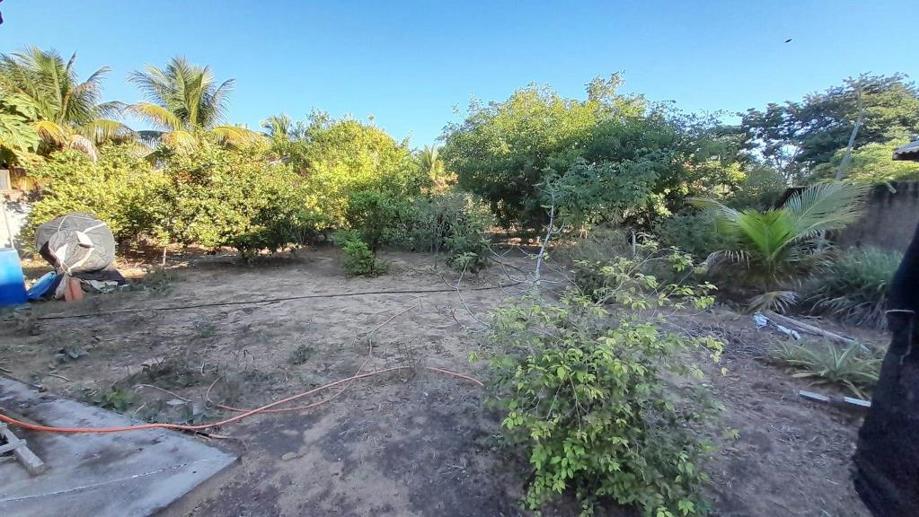Casa com 3 Quartos à Venda - Foto 4