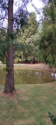 Rural com 3 Quartos à Venda, 220.000,00 m² - Foto 9