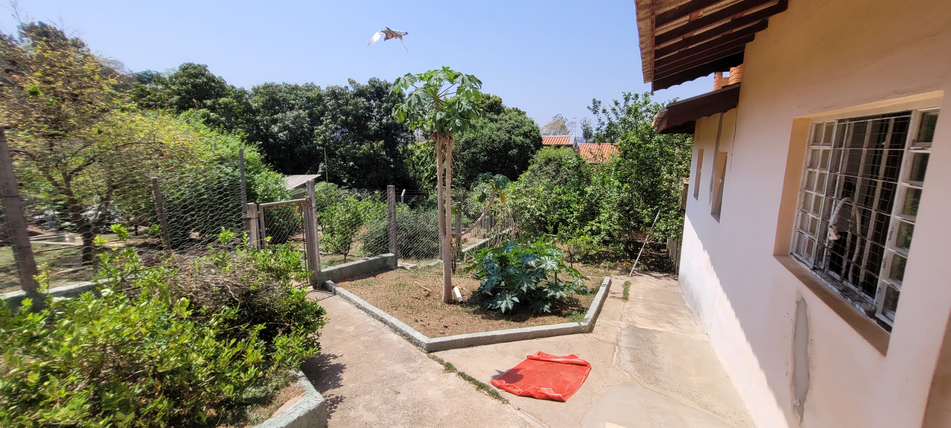 Rural com 2 Quartos à Venda, 247,64 m² - Foto 16