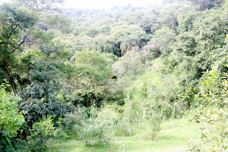 Rural com 4 Quartos à Venda, 3.000,00 m² - Foto 79