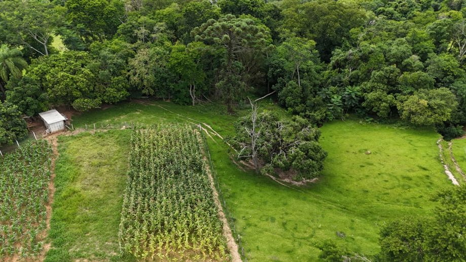 Rural com 3 Quartos à Venda, 160.000,00 m² - Foto 7