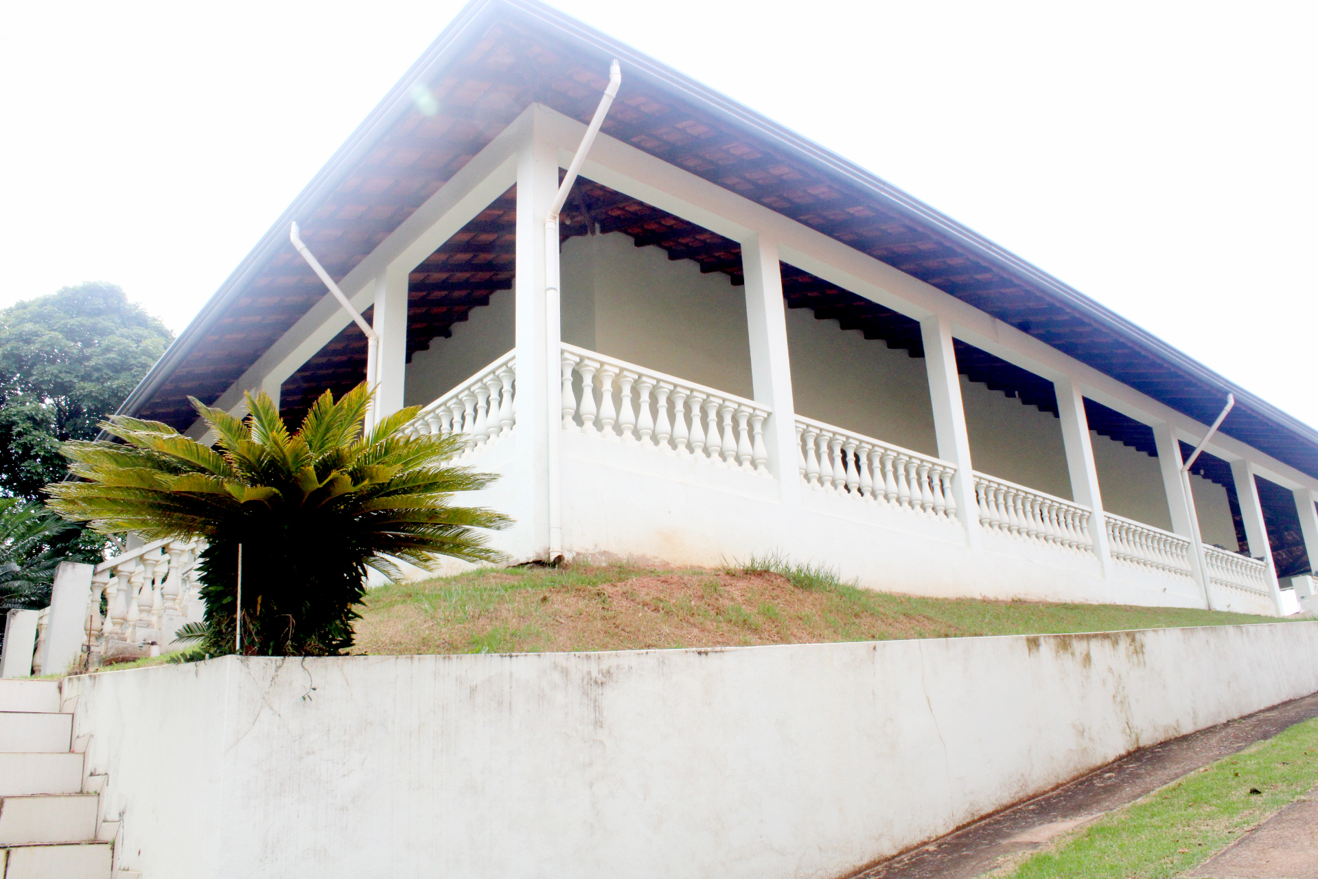 Rural com 4 Quartos à Venda, 3.000,00 m² - Foto 2