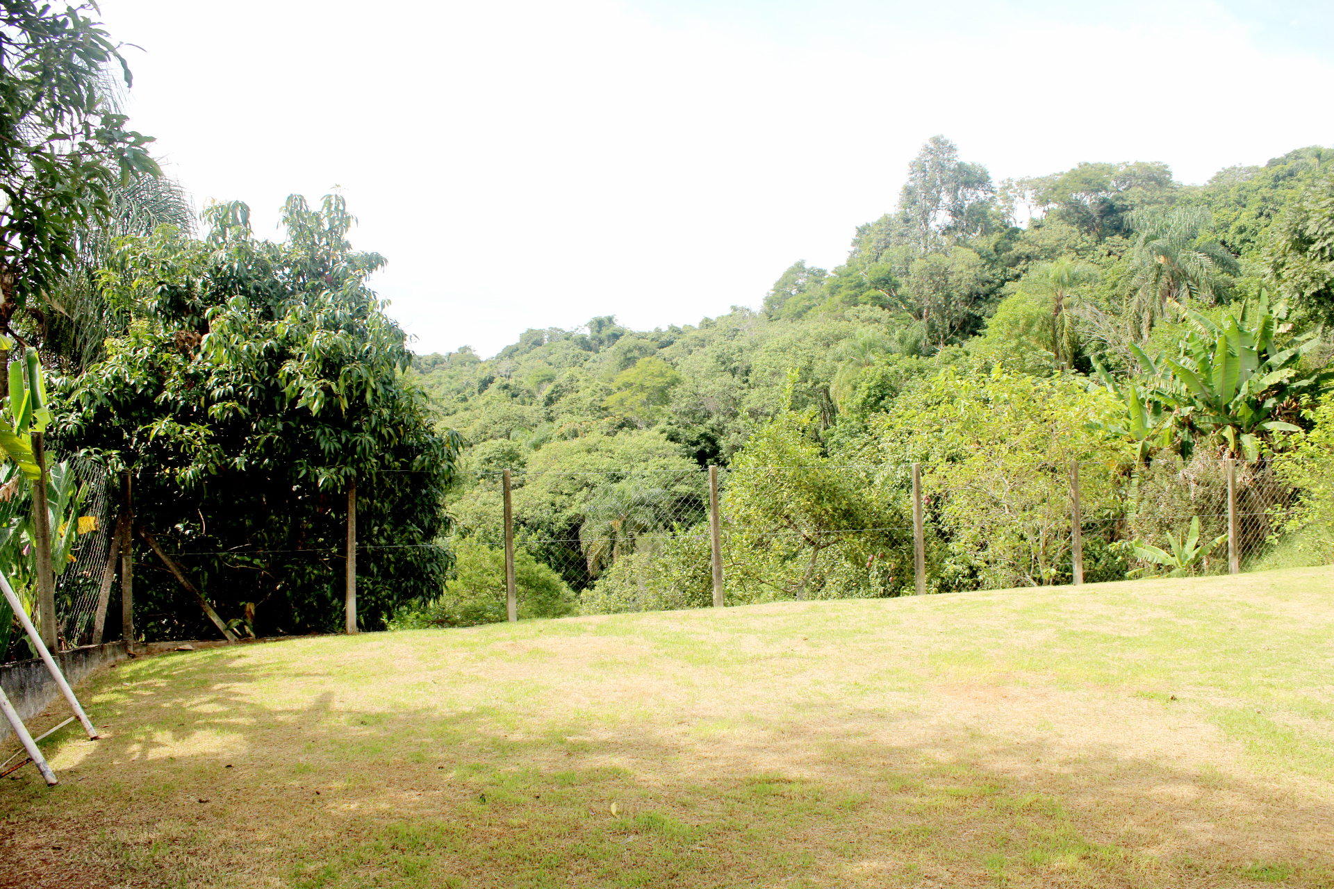 Rural com 4 Quartos à Venda, 3.000,00 m² - Foto 57