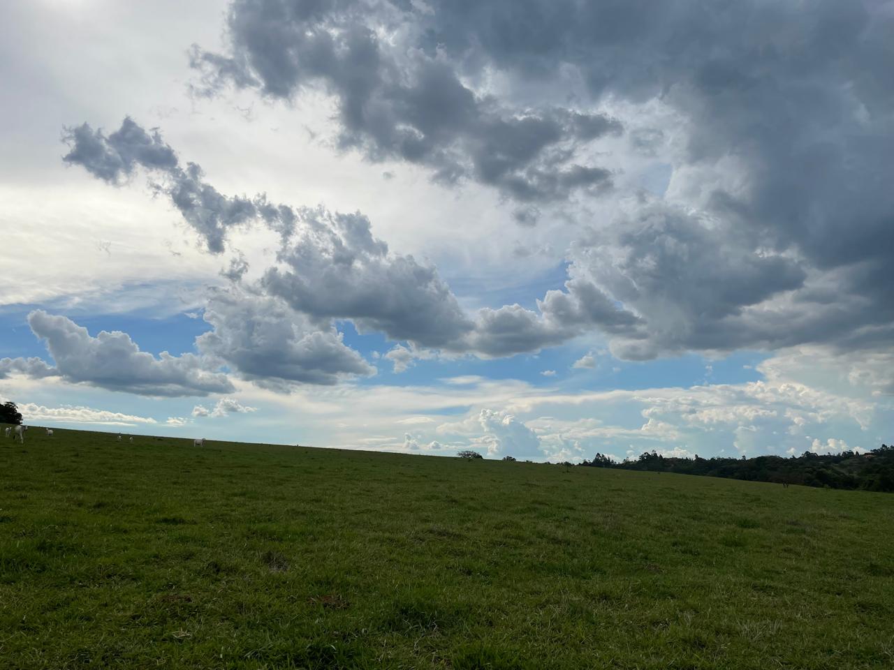 Rural com 6 Quartos à Venda, 502.000,00 m² - Foto 16