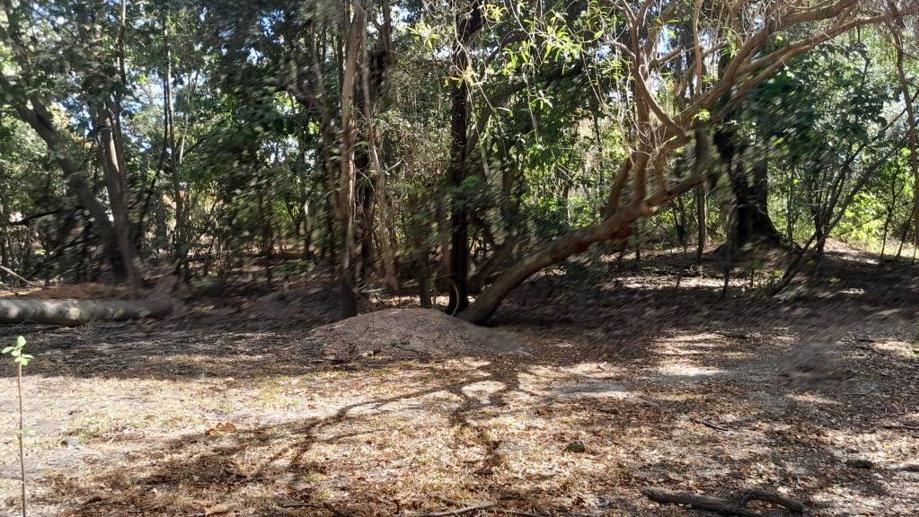 Terreno à Venda, 25.880,00 m² - Foto 13