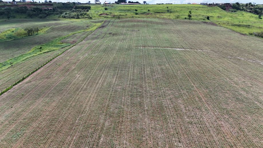 Rural com 3 Quartos à Venda, 307.000,00 m² - Foto 2