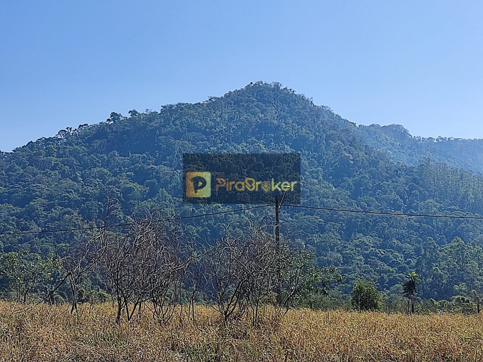 Terreno à Venda, 300,00 m² - Foto 19