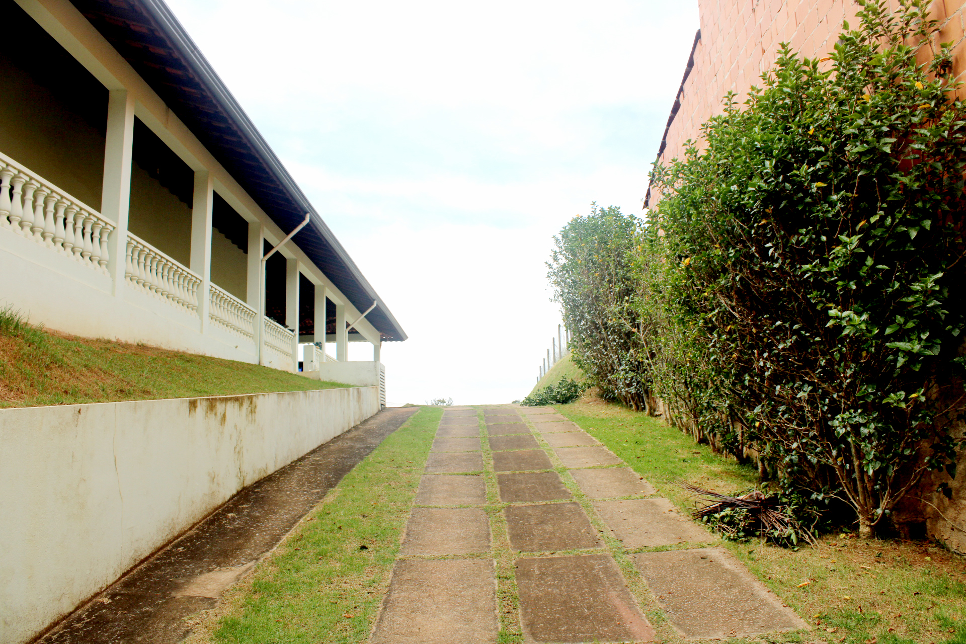 Rural com 4 Quartos à Venda, 3.000,00 m² - Foto 3