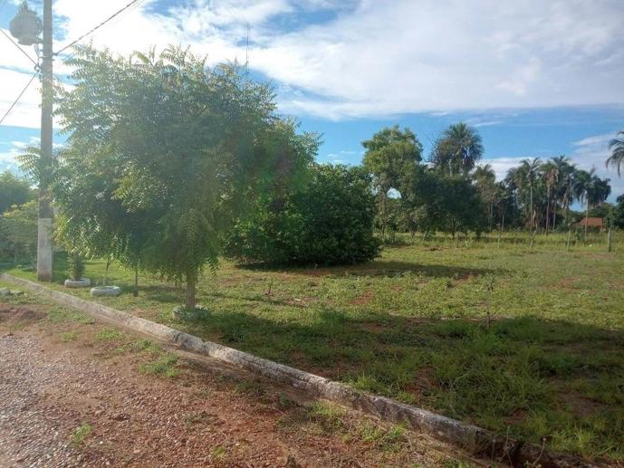 Terreno à Venda - Foto 1