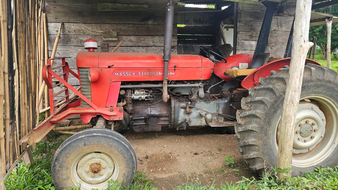 Rural com 3 Quartos à Venda, 160.000,00 m² - Foto 5