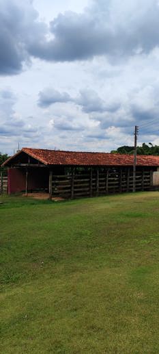 Rural com 3 Quartos à Venda, 220.000,00 m² - Foto 11