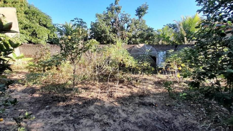 Casa com 3 Quartos à Venda - Foto 11