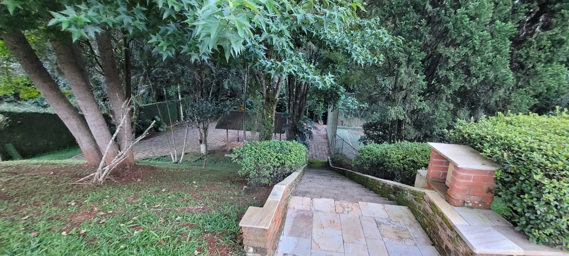 Rural com 3 Quartos à Venda, 2.695,00 m² - Foto 4