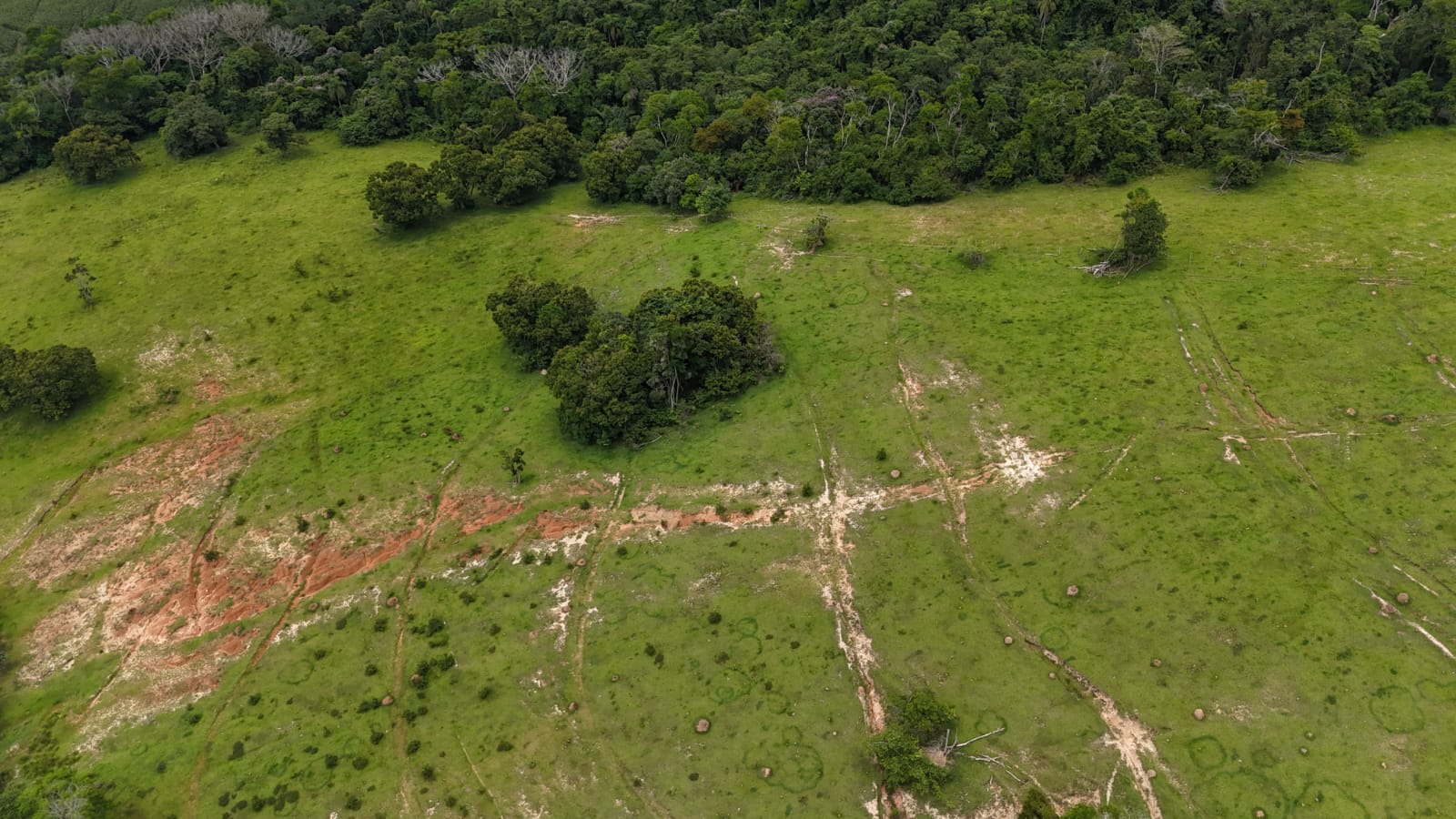 Rural com 3 Quartos à Venda, 160.000,00 m² - Foto 11