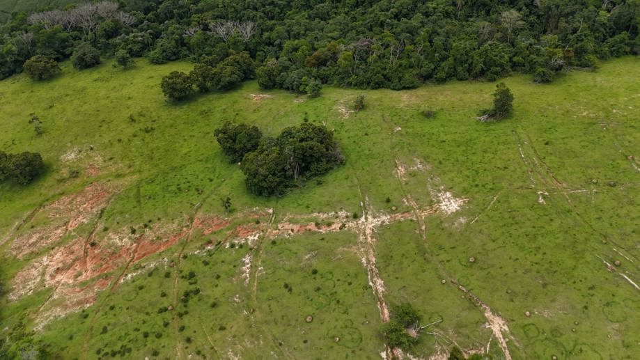 Rural com 3 Quartos à Venda, 160.000,00 m² - Foto 11