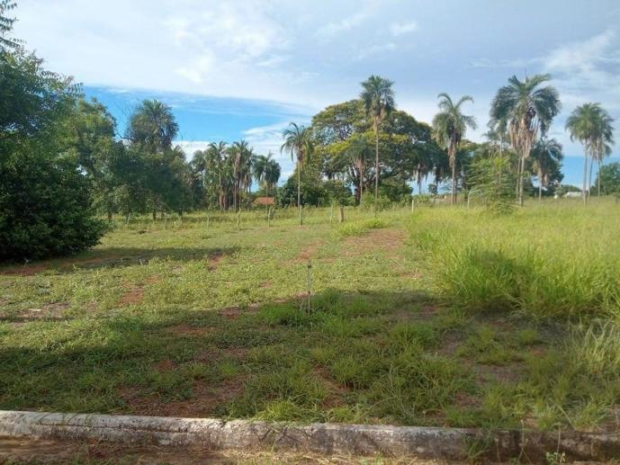 Terreno à Venda - Foto 2