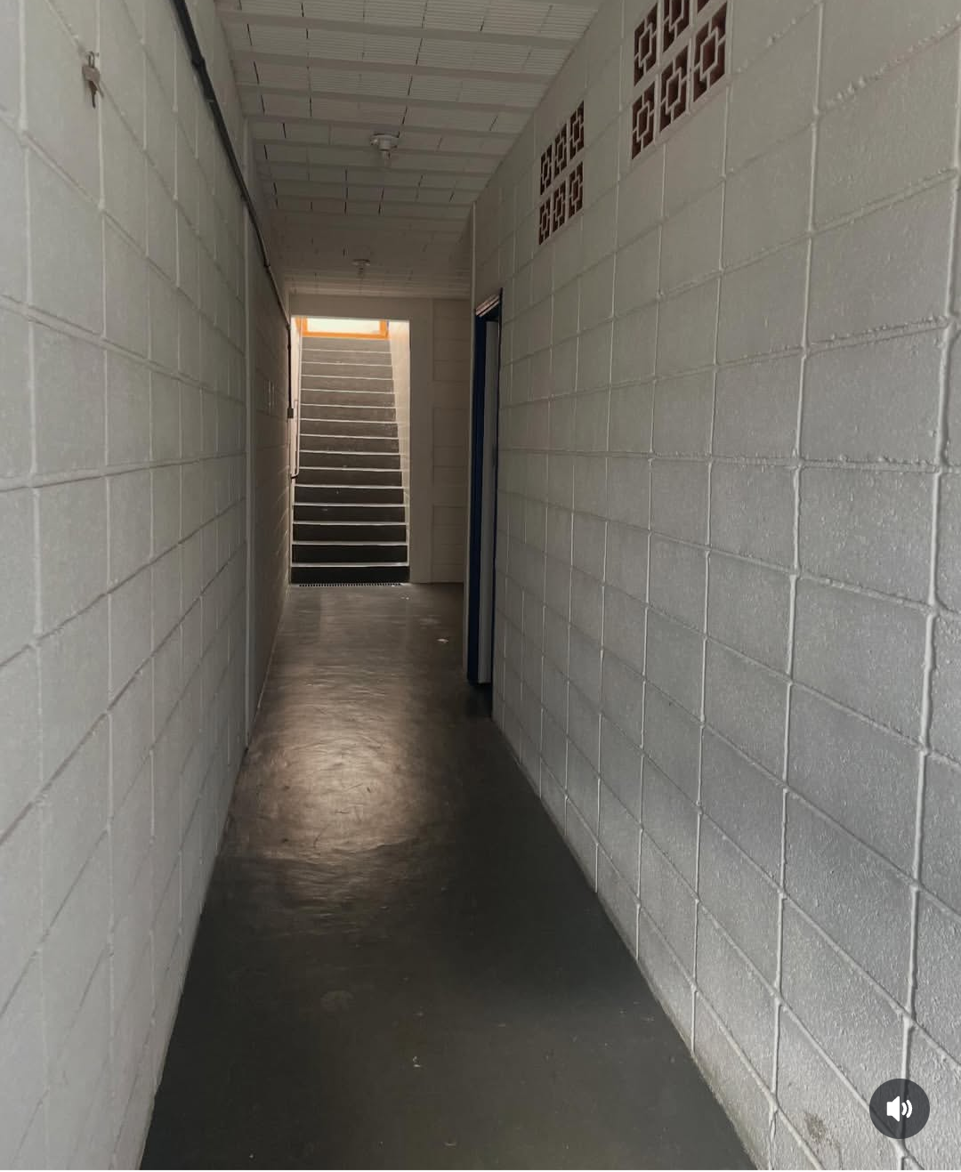 Comercial à Venda, 276,37 m² - Foto 6