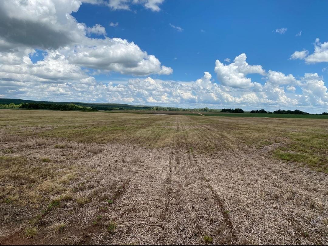 Rural com 4 Quartos à Venda, 240,00 m² - Foto 10