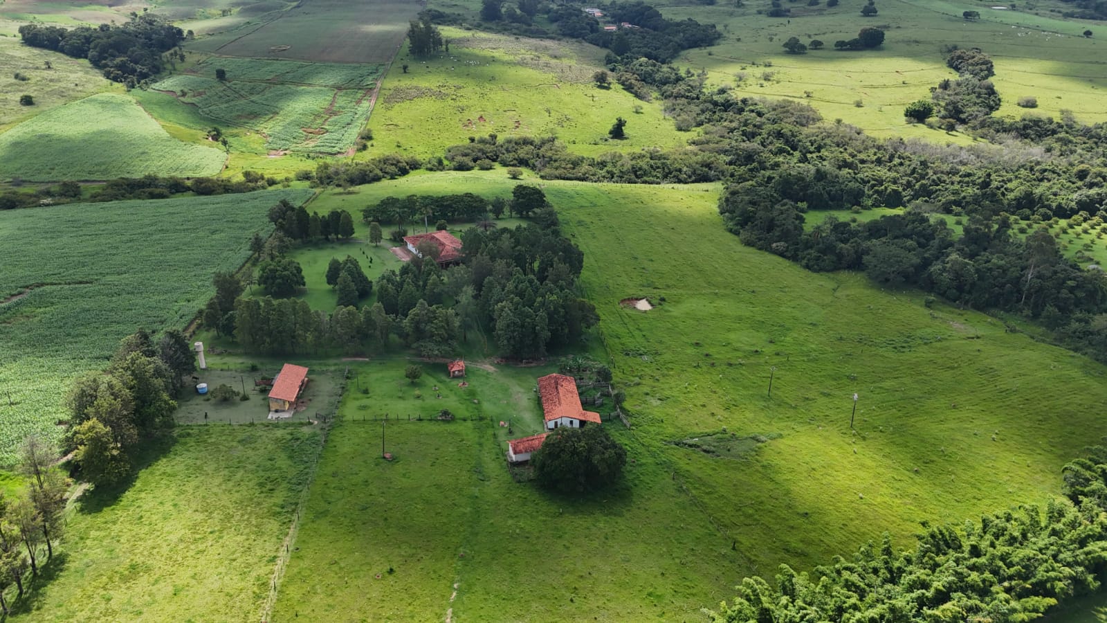 Rural com 3 Quartos à Venda, 220.000,00 m² - Foto 13