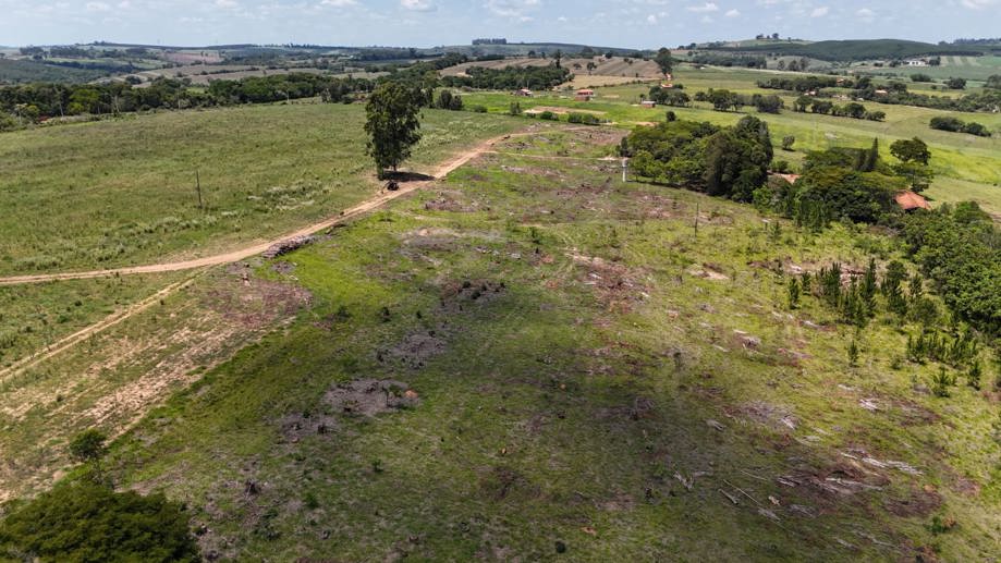 Rural com 4 Quartos à Venda, 242.000,00 m² - Foto 7