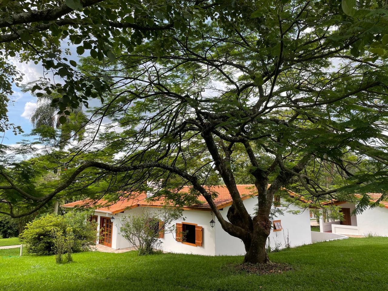 Rural com 6 Quartos à Venda, 502.000,00 m² - Foto 3